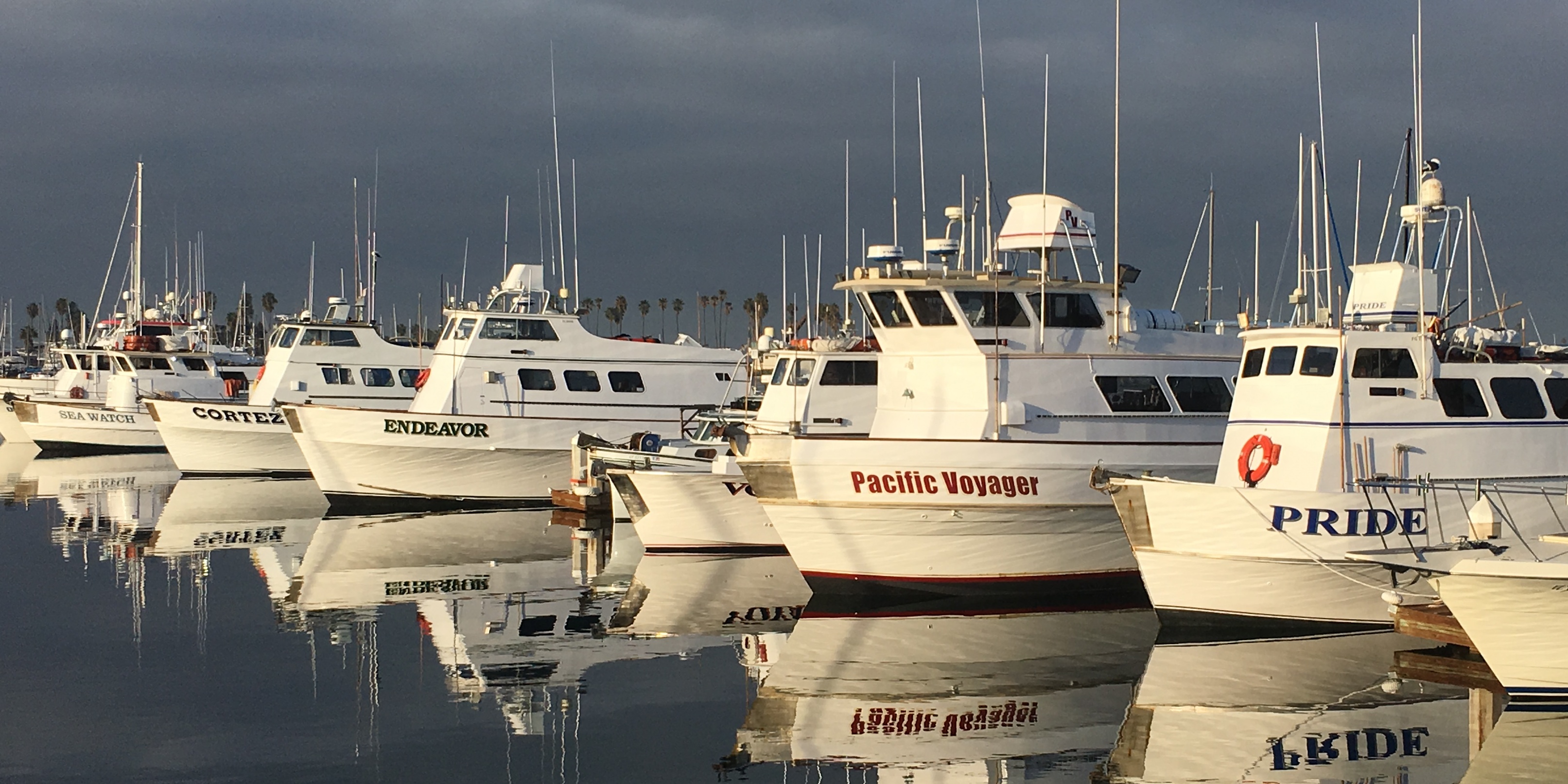 seaforth fishing trips